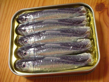 sardine.jpg